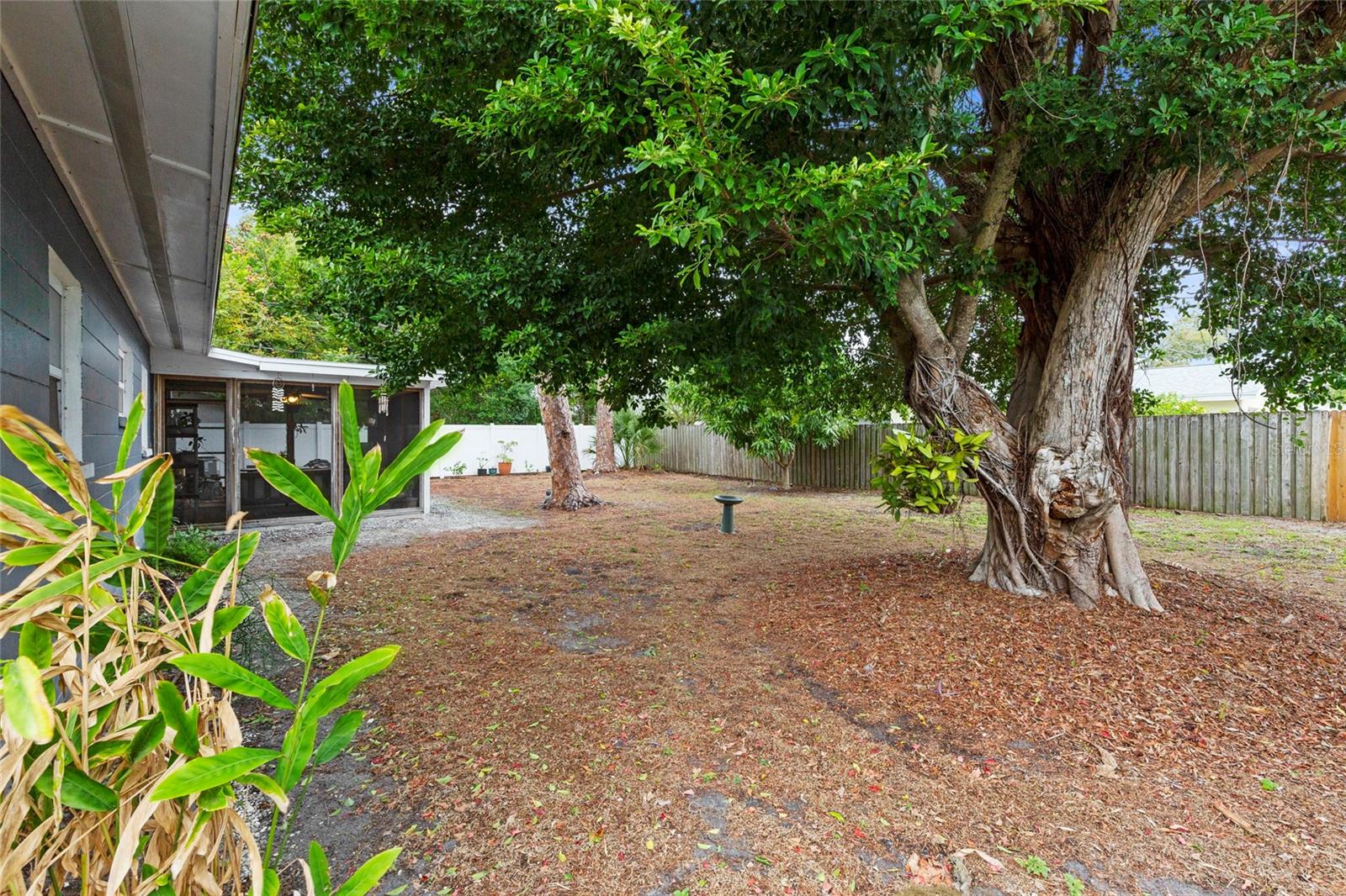 WEDGEWOOD PARK - Residential