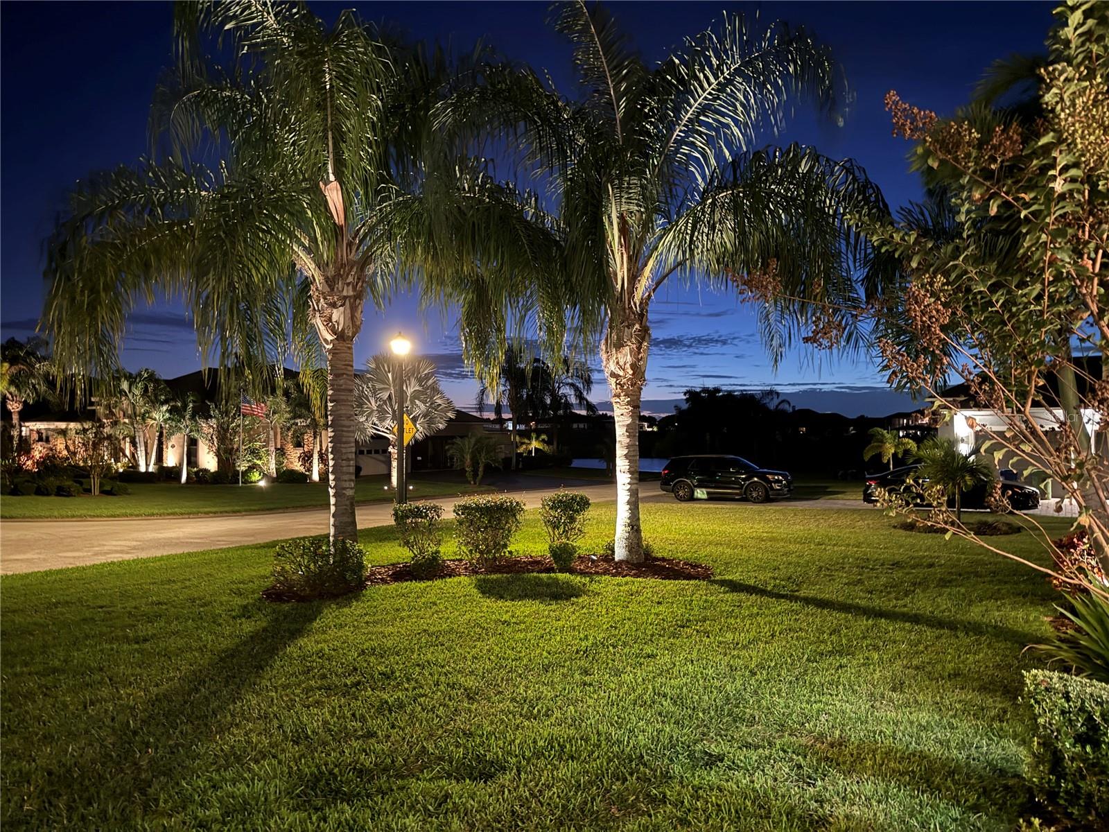 EMERALD PALMS - Residential