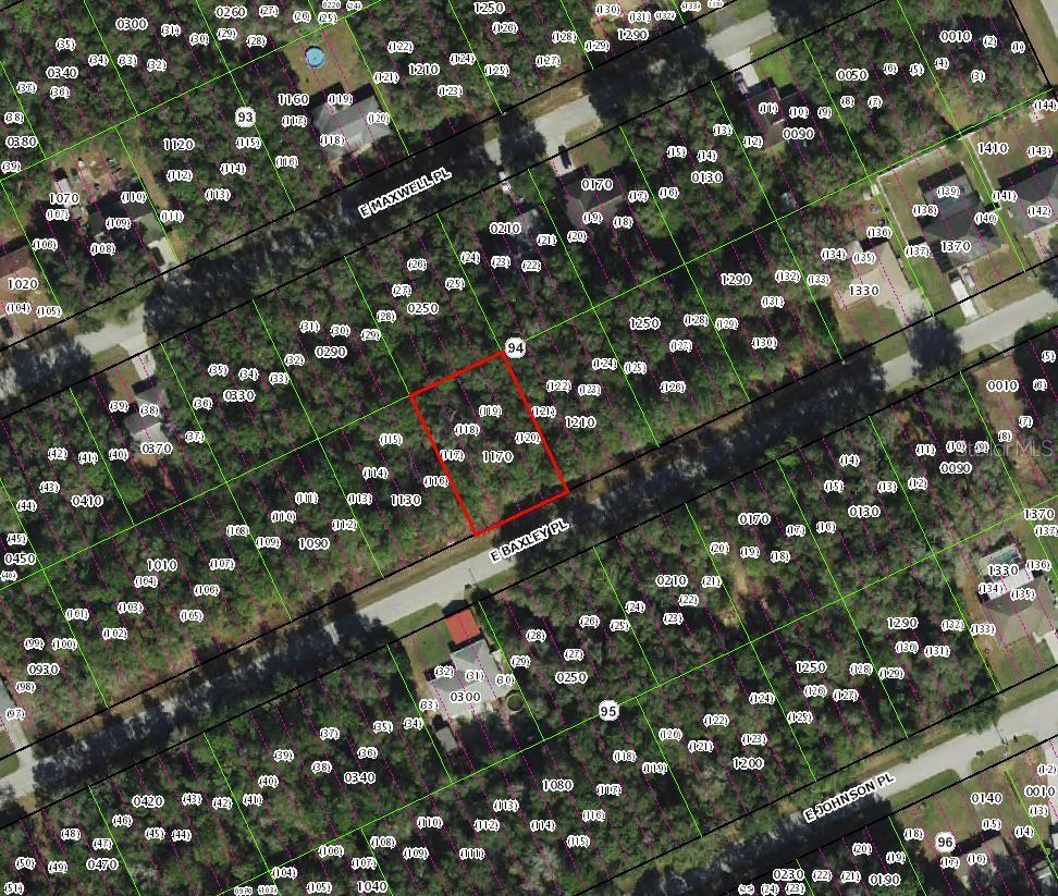 Photo of 3669 E Baxley Place, Inverness, FL 34453 (MLS # TB8552453)