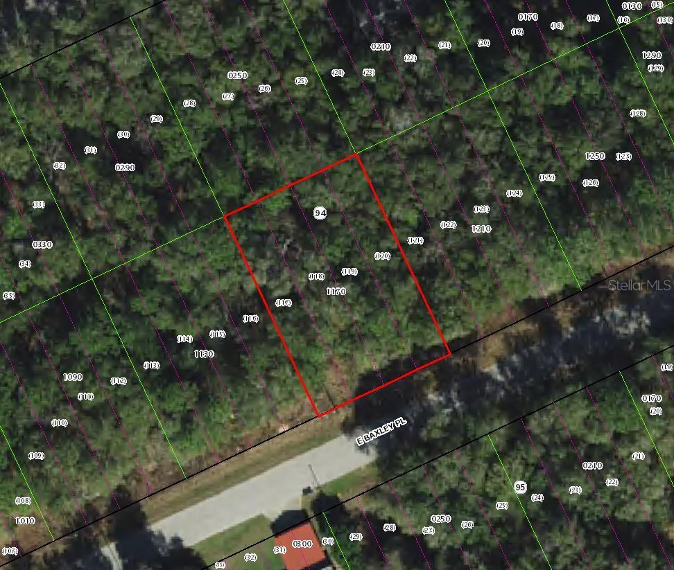 Photo of 3669 E Baxley Place, Inverness, FL 34453 (MLS # TB8552453)