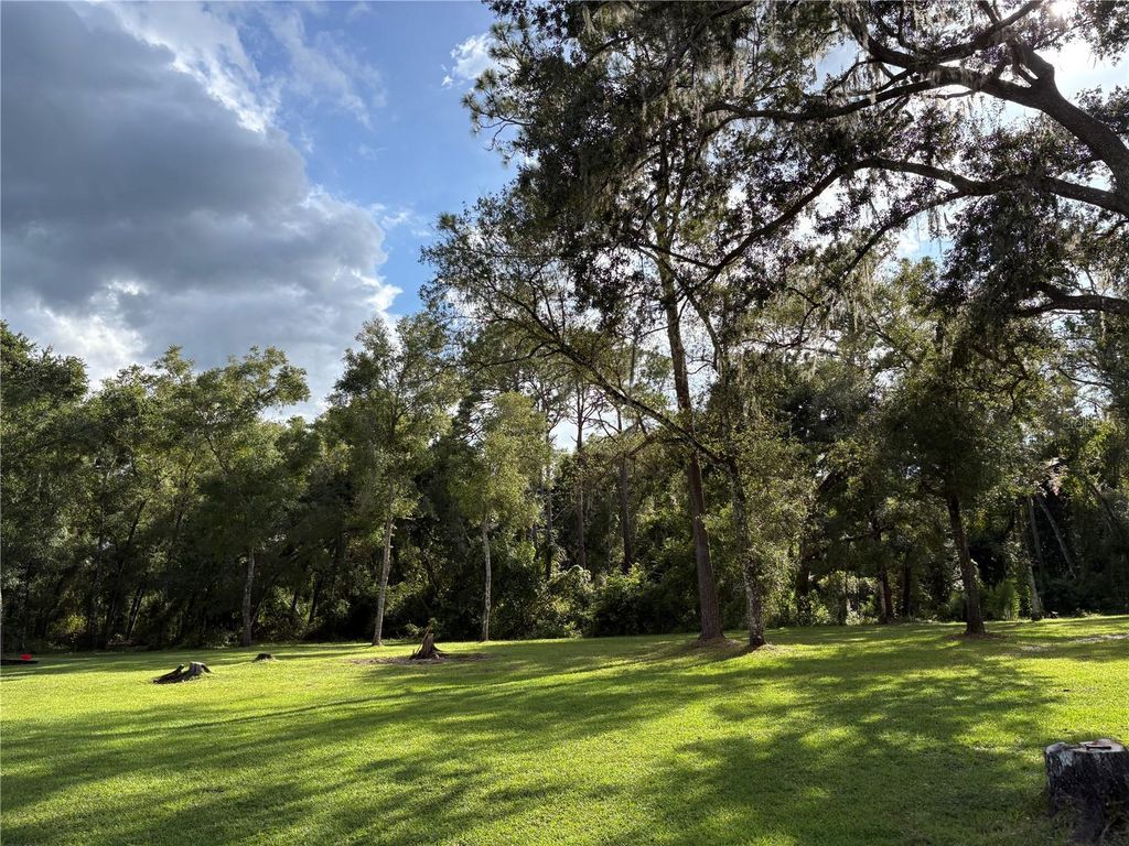 Photo of Lucilles Shady Lane, Nobleton, FL 34661 (MLS # TB8424547)