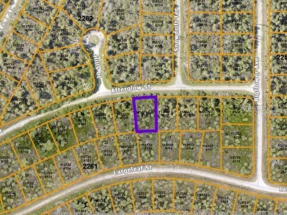 PORT CHARLOTTE SUB 46 - Land