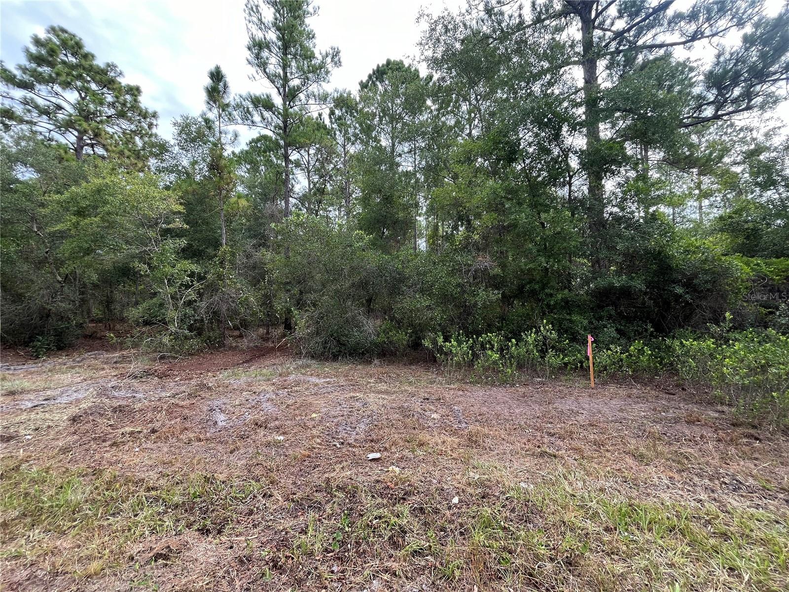 LAKE GEORGE MANOR - Land