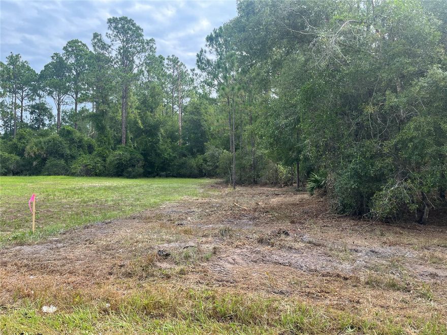 Owner financing available. Adjacent 124 Glenside property included in sale.  Discover the amazing chance to build your dream home in the growing city of Georgetown on this beautiful oversized 0.46-acre lot. The region boasts a wide array of leisure activities such as boating, fishing, hiking, and camping. It's just a short distance from Lake George. Located within minutes of schools, restaurants, diners, and parks. Investing in land in Florida is a wise choice for your future, whether you're looking to build your dream home, a vacation getaway, a rental property, or simply let the land appreciate as a valuable long-term asset to resell at a profit in the future.