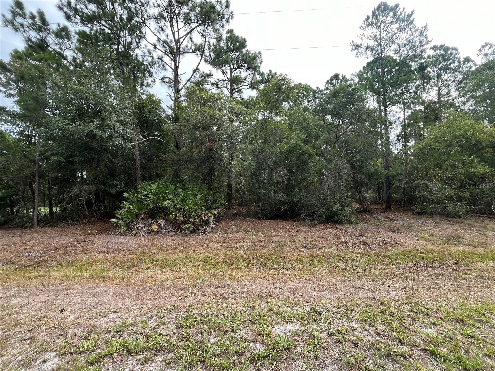 LAKE GEORGE MANOR - Land