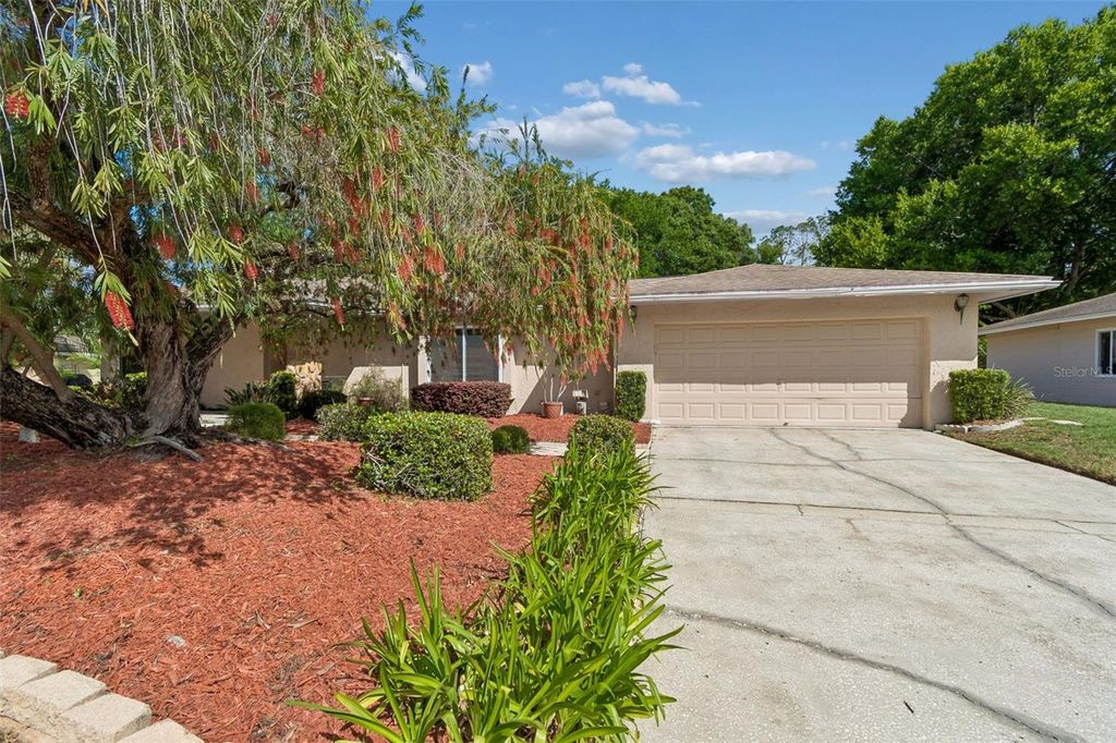 Photo of 9004 Hogans Bend, Tampa, FL 33647 (MLS # TB8489705)