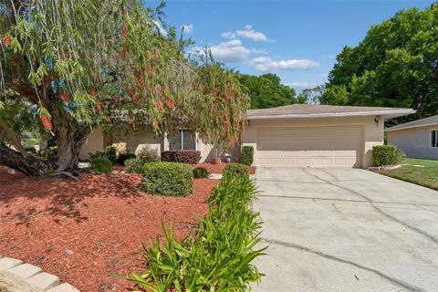 Photo of 9004 Hogans Bend, Tampa, FL 33647 (MLS # TB8489705)