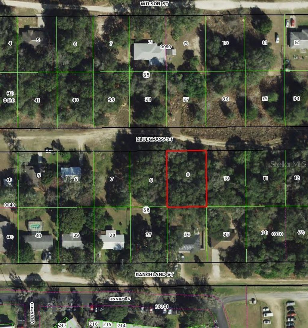 Photo of 2407 Bluegrass Street, Inverness, FL 34453 (MLS # TB8435590)