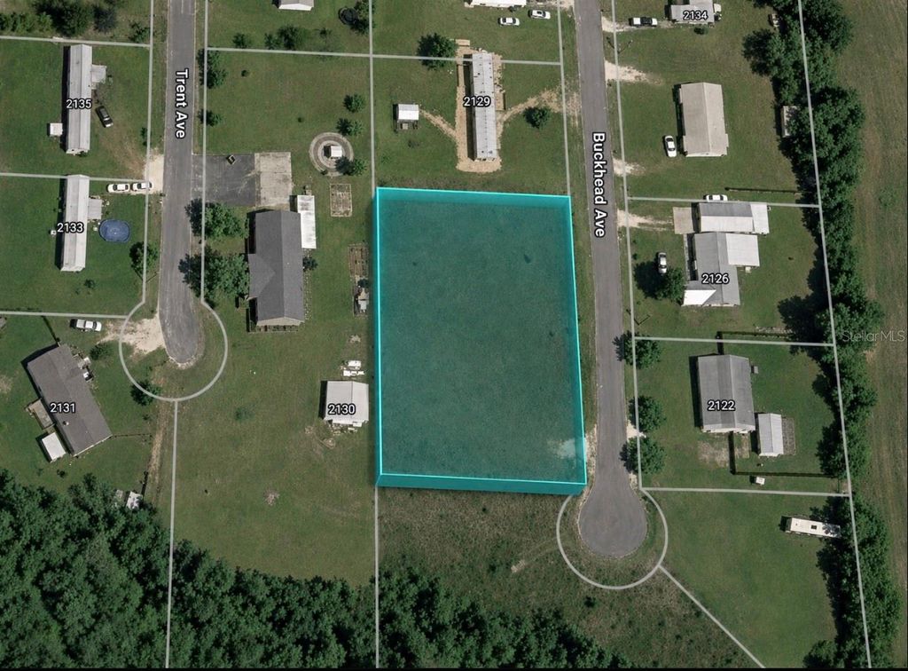 Photo of Buckhead Drive, Grand Ridge, FL 32442 (MLS # TB8530511)