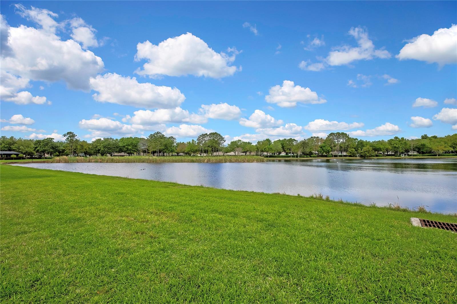 CASCADES AT S H PLANT PH 1 REP - Residential