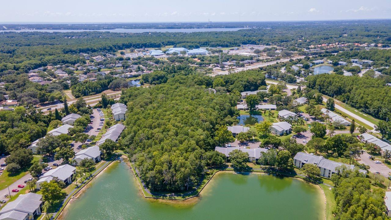PINE RIDGE AT LAKE TARPON VILLAGE - Residential