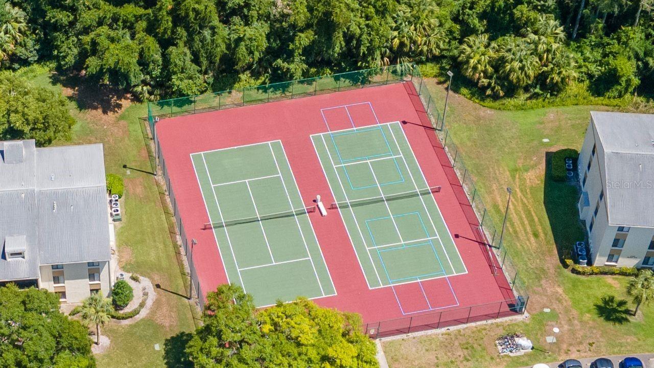 PINE RIDGE AT LAKE TARPON VILLAGE - Residential