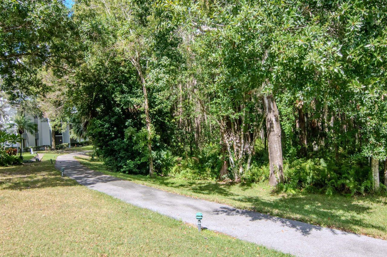 PINE RIDGE AT LAKE TARPON VILLAGE - Residential