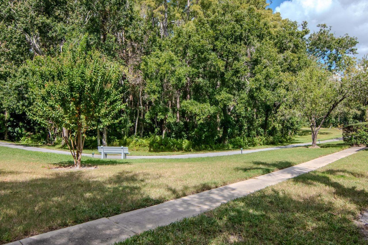 PINE RIDGE AT LAKE TARPON VILLAGE - Residential