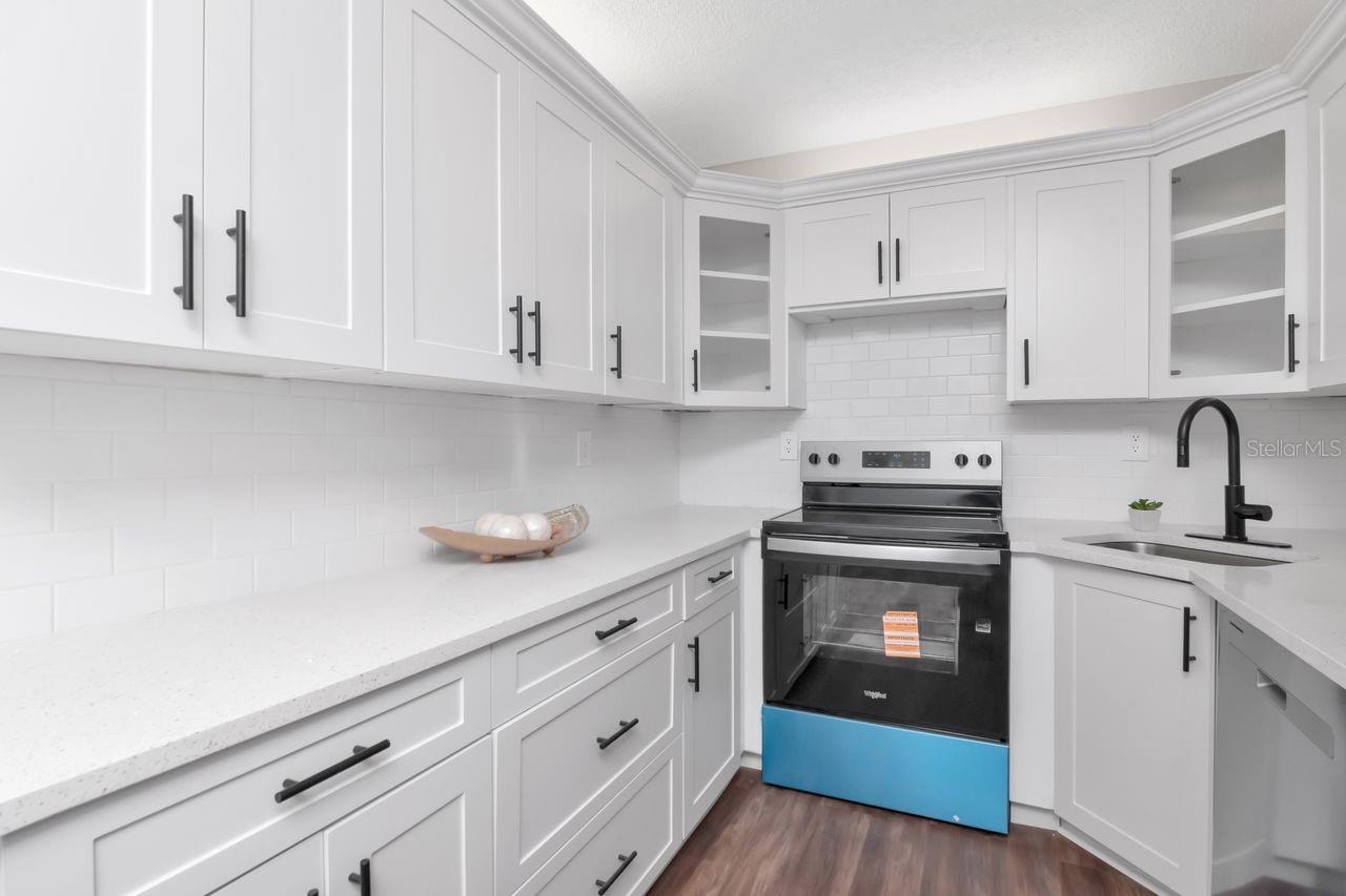 PINE RIDGE AT LAKE TARPON VILLAGE - Residential