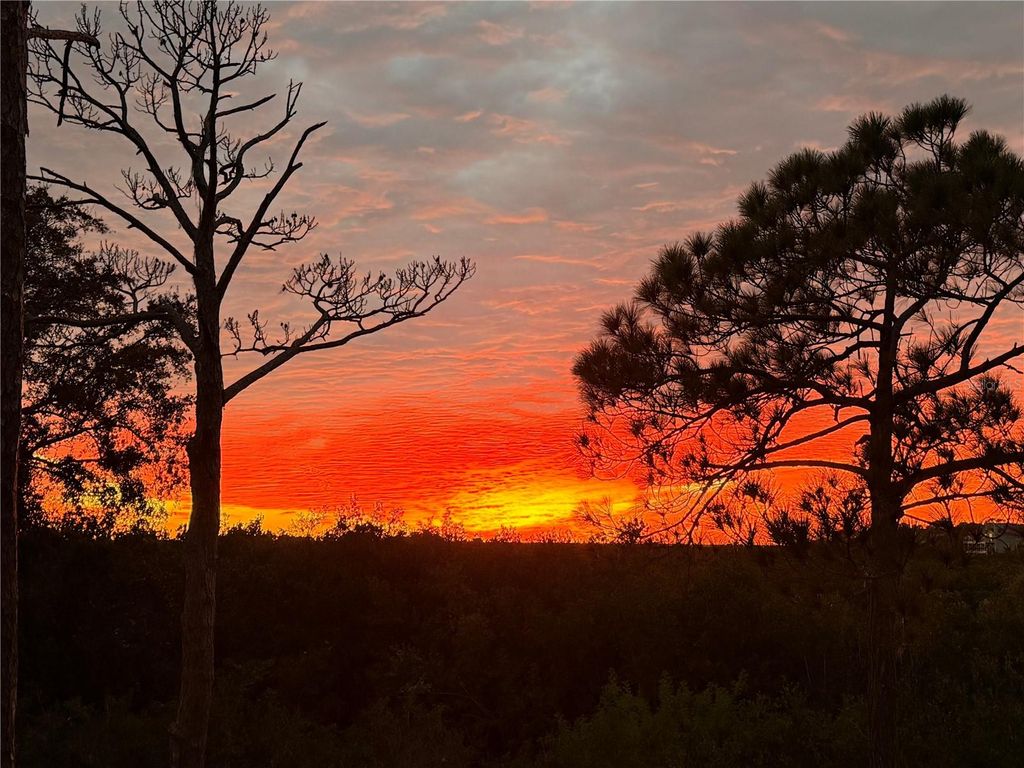 Photo of 1059 S Pointe Alexis Dr, Tarpon Springs, FL 34689 (MLS # TB8460227)