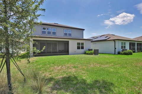 A home in RIVERVIEW