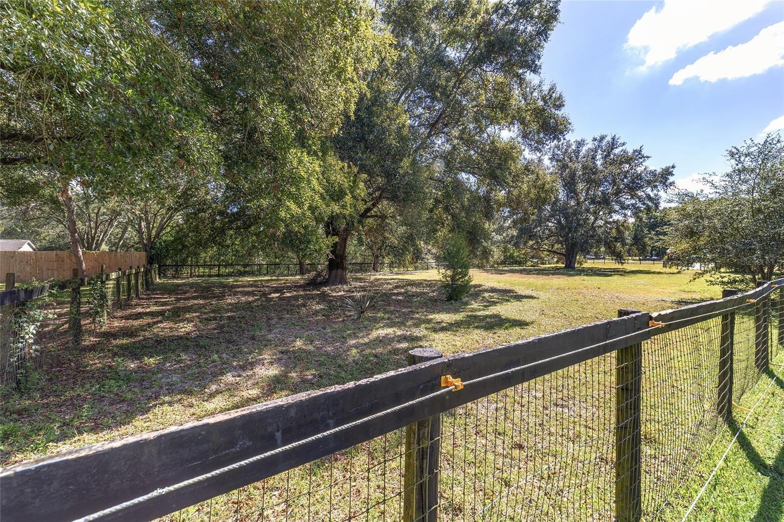 OCALA THOROUGHBRED ACRES - Residential