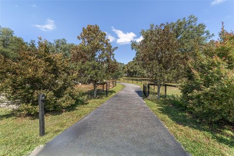 Tiny photo for 7785 SW 19th Place, Ocala, FL 34474 (MLS # OM711977)