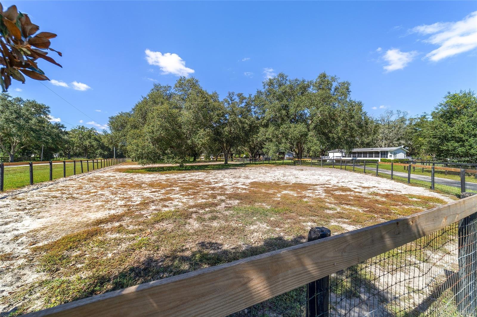 OCALA THOROUGHBRED ACRES - Residential