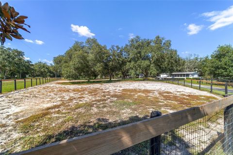 Tiny photo for 7785 SW 19th Place, Ocala, FL 34474 (MLS # OM711977)