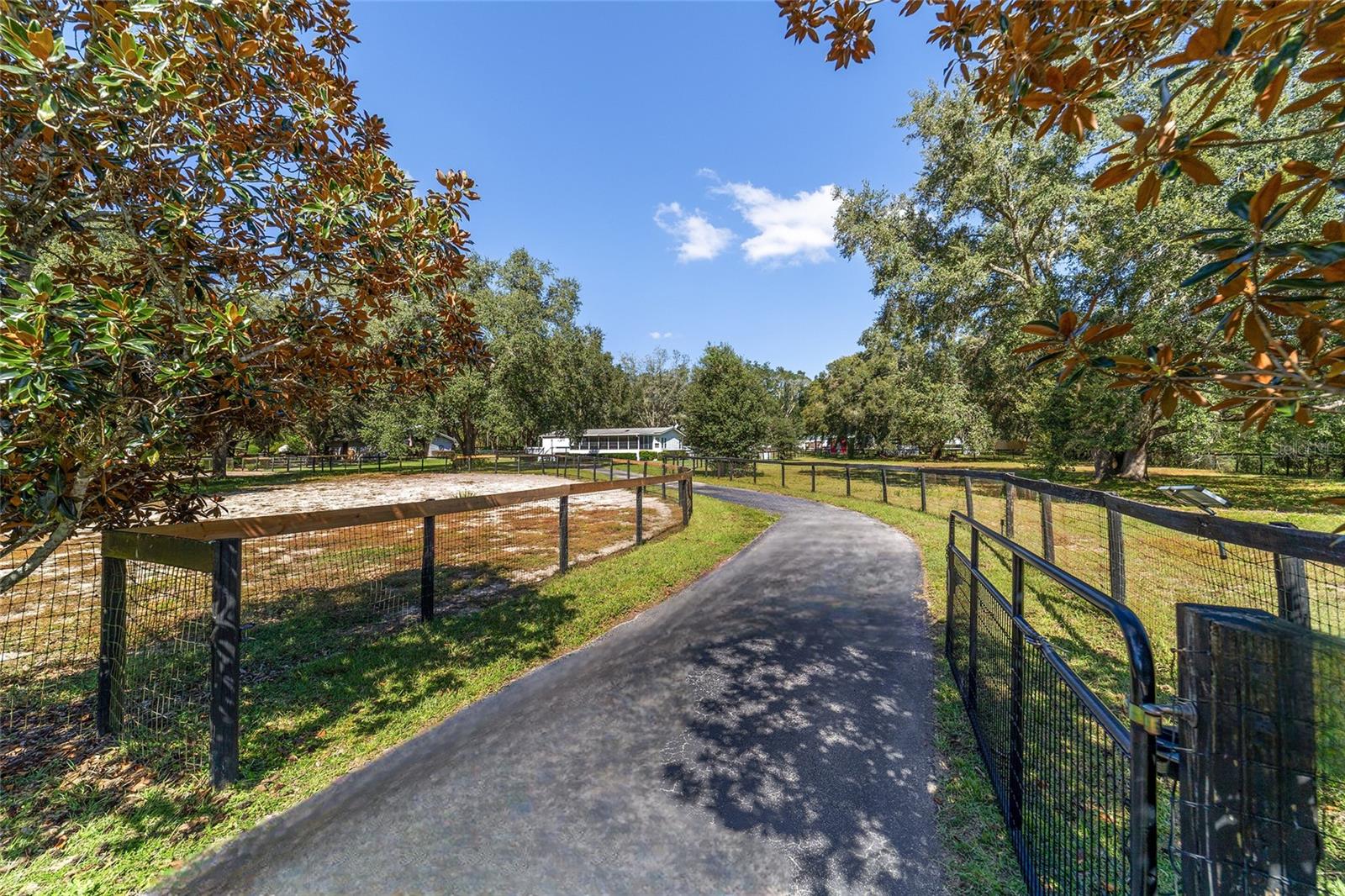 OCALA THOROUGHBRED ACRES - Residential