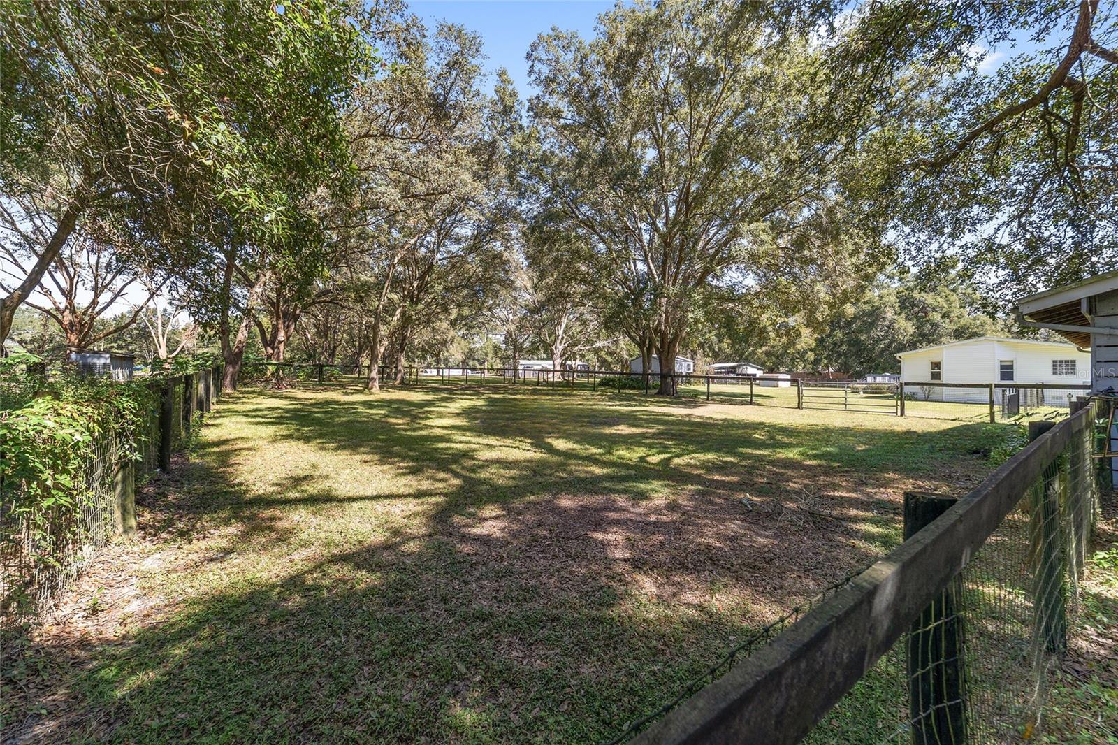 OCALA THOROUGHBRED ACRES - Residential
