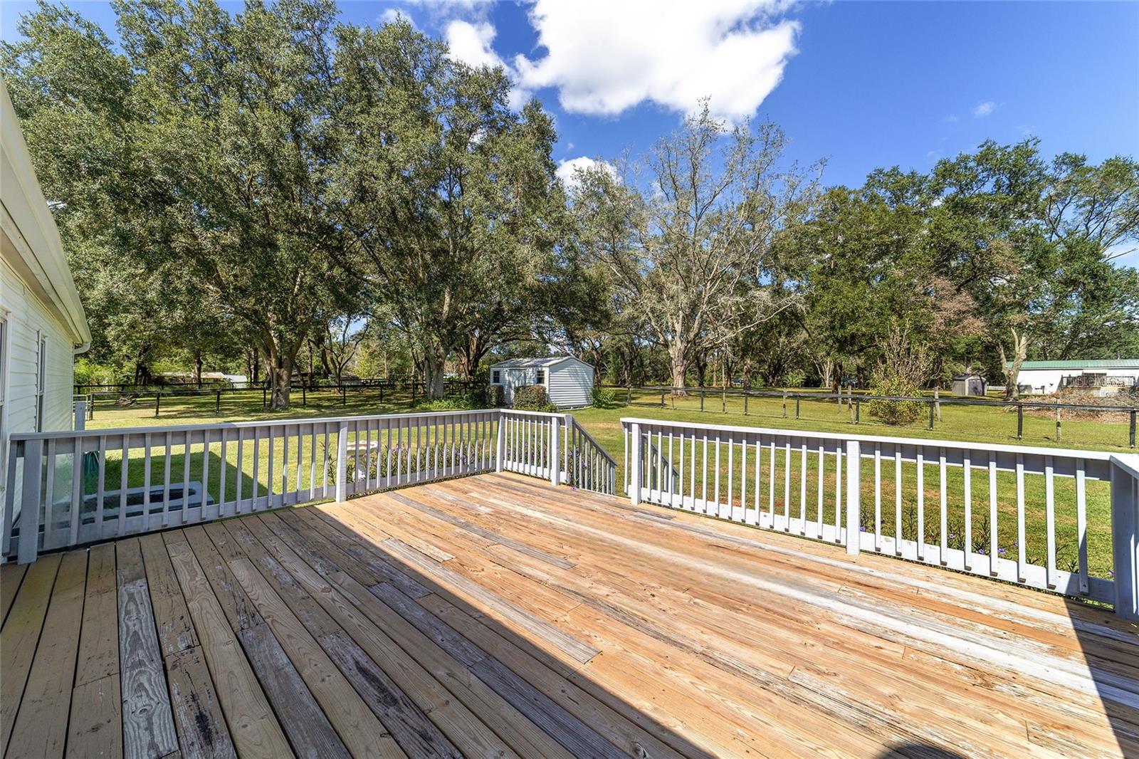 OCALA THOROUGHBRED ACRES - Residential