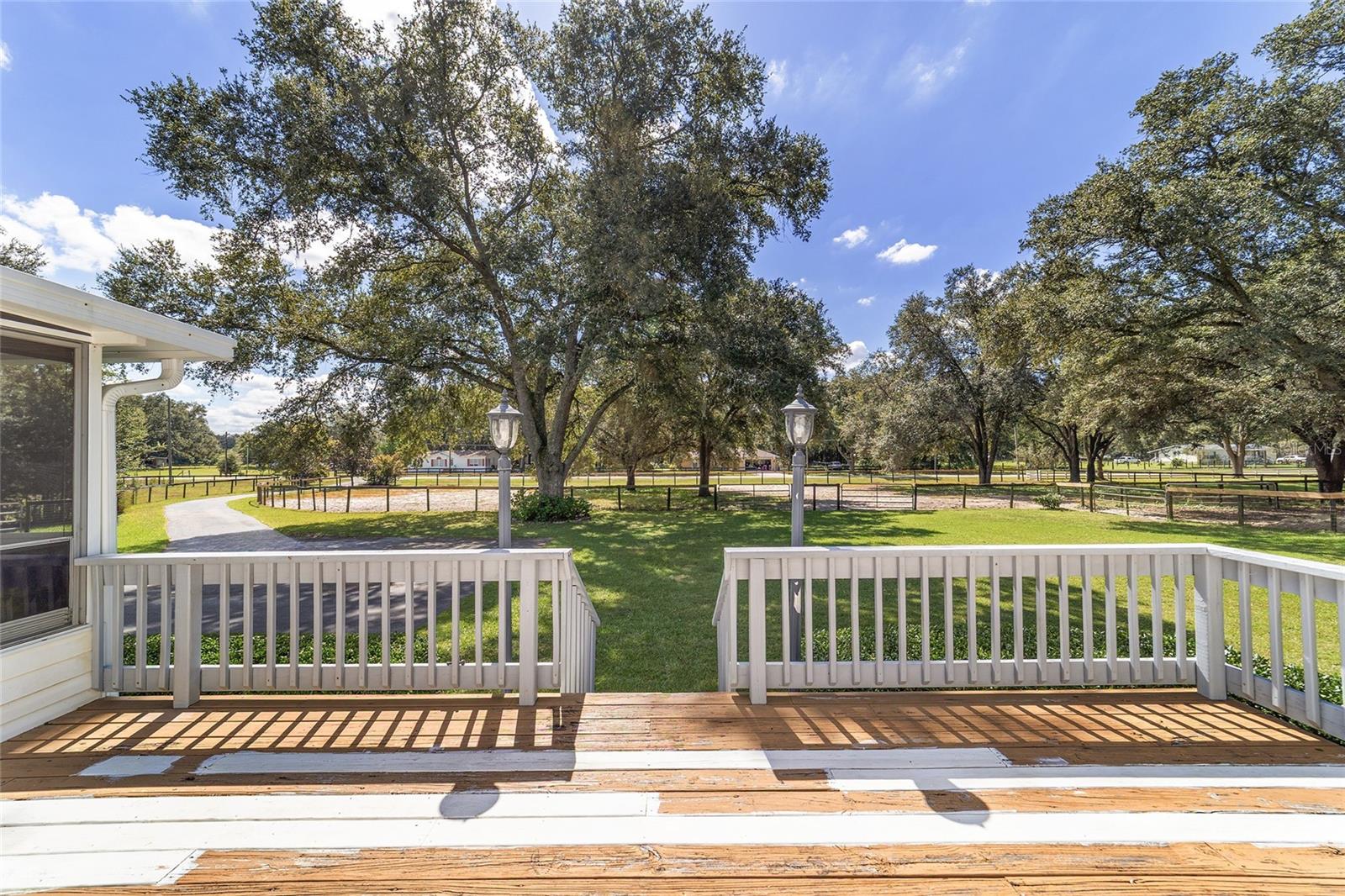 OCALA THOROUGHBRED ACRES - Residential