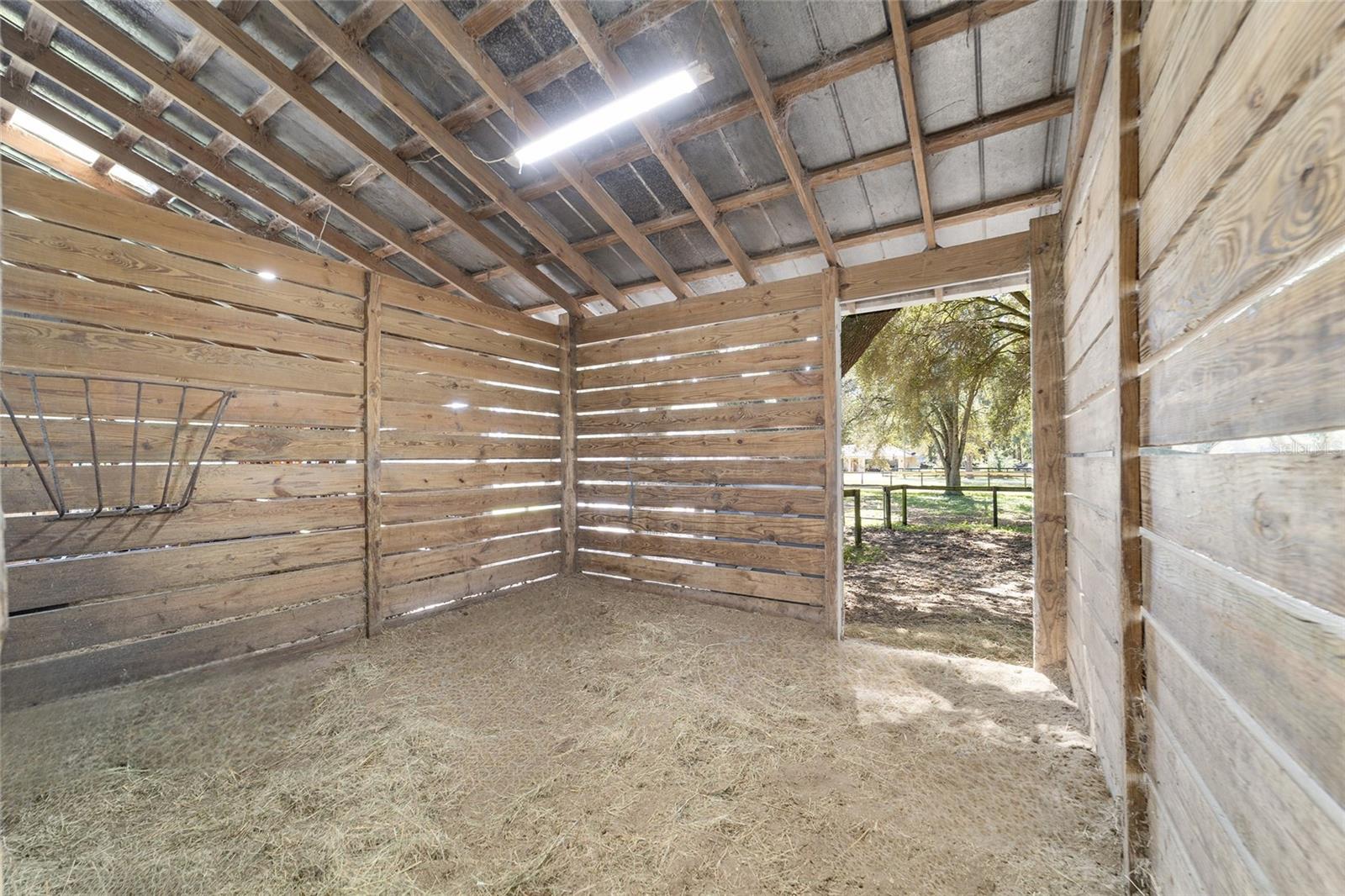 OCALA THOROUGHBRED ACRES - Residential