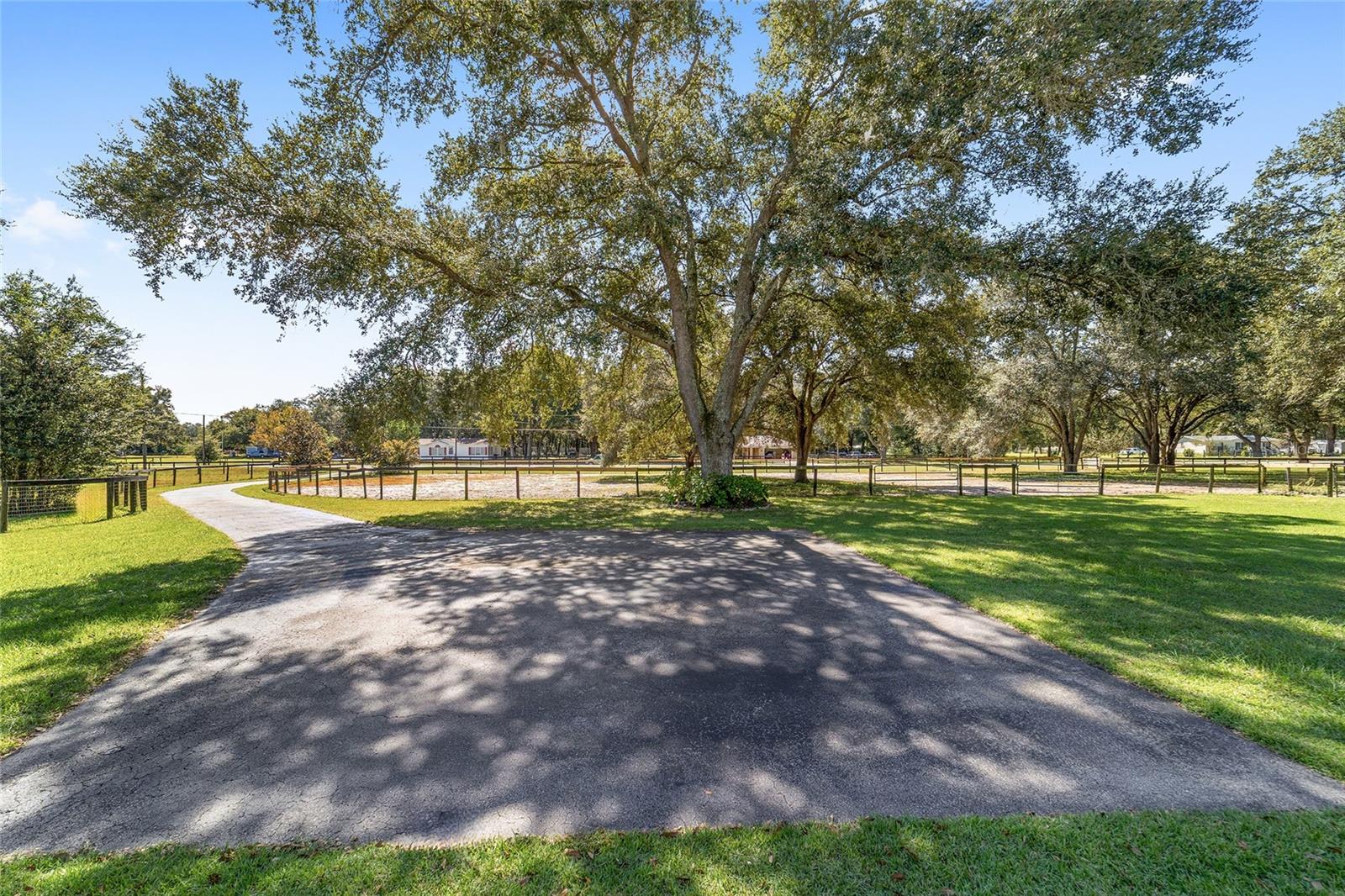 OCALA THOROUGHBRED ACRES - Residential