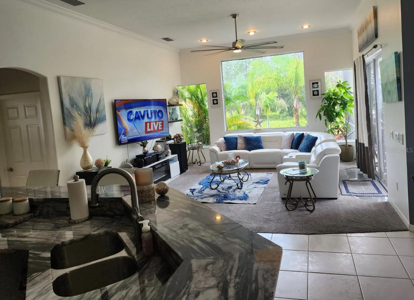 10532 CORY LAKE DRIVE
