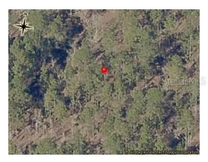 LOT 11 is tucked away in the peaceful community of Rainbow Lakes Estates, this 1-acre residential lot is your canvas for a future filled with possibility. Whether you’re envisioning a custom-built retreat or securing land as a long-term investment, this parcel offers the space, flexibility, and location to make it a reality—without the burden of monthly HOA fees.
Nature lovers will appreciate being just minutes from the sparkling waters of Rainbow Springs State Park, where you can spend your days tubing, kayaking, swimming, or simply taking in the beauty of North Central Florida. For equestrian enthusiasts, the World Equestrian Center is a short drive away, while golfers can tee off at the beautifully kept greens at Juliette Falls Golf & Country Club nearby.
Rainbow Lakes Estates is an all-ages community with paved roads, a welcoming atmosphere, and a well-appointed community center that includes a clubhouse, youth and fitness facilities, library, tennis and basketball courts, shuffleboard, a fishing pier, and boat ramps on Lake Bonable and Tiger Lake. Zoned R-1 for site-built homes only (no mobile homes), this wooded lot will require a well and septic when you’re ready to build.
Ideally situated near Dunnellon, with convenient access to Ocala, Gainesville, Crystal River, and the Gulf Coast, this property offers both serenity and connection. Don’t miss your chance to make Rainbow Lakes Estates part of your future!