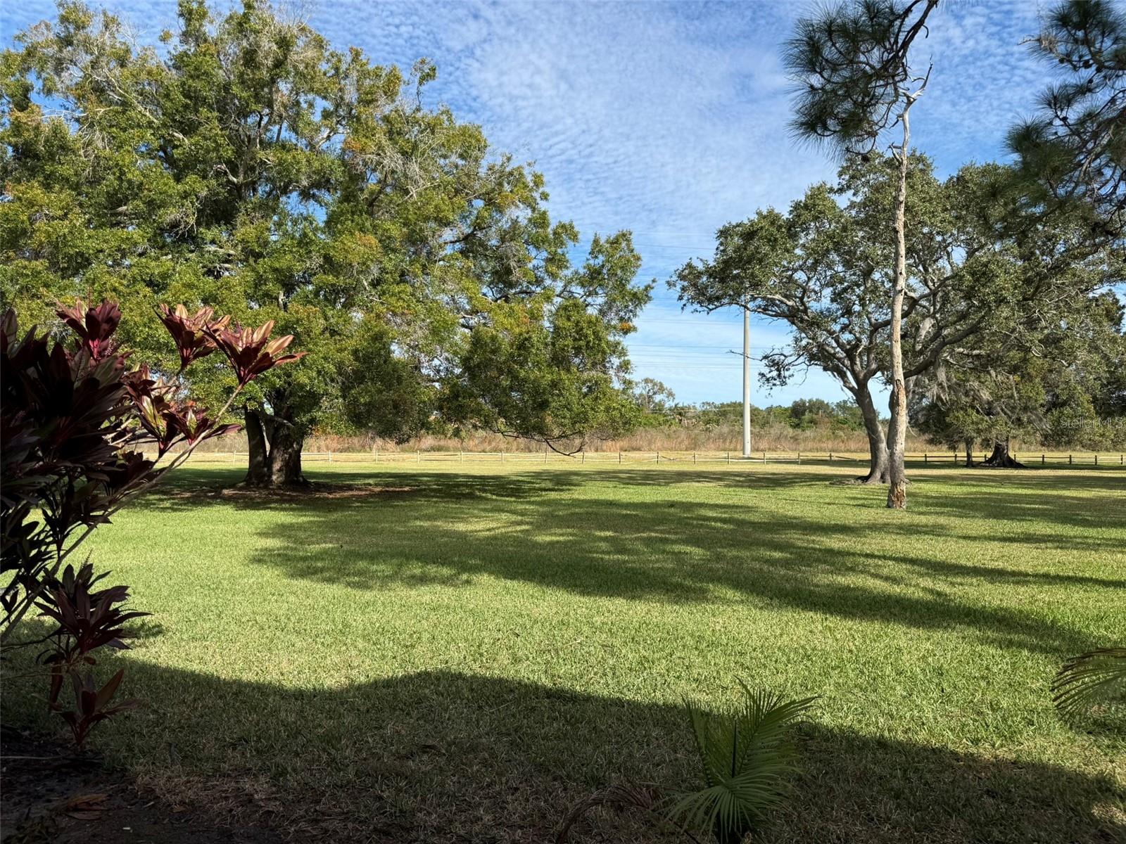 EAST LAKE WOODLANDS CONDO - Residential