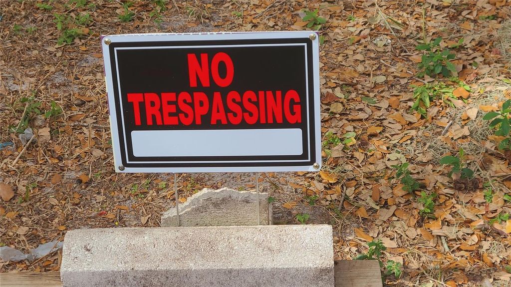 Photo of 1674 Magnolia Lane, Kissimmee, FL 34746 (MLS # S5142116)