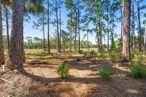 Tiny photo for Deep Woods Road, Paisley, FL 32767 (MLS # V4945611)