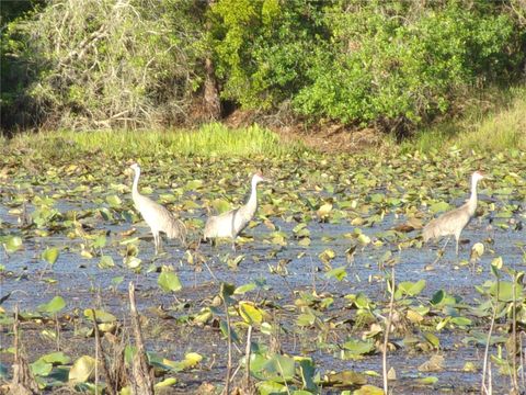 Tiny photo for Deep Woods Road, Paisley, FL 32767 (MLS # V4945611)