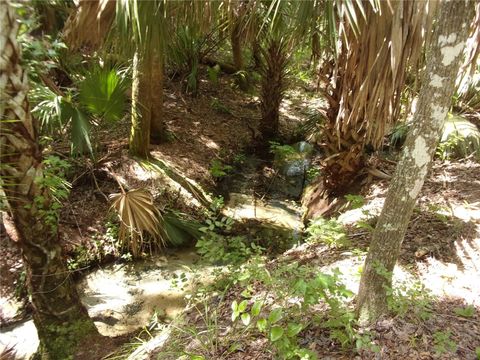 Tiny photo for Deep Woods Road, Paisley, FL 32767 (MLS # V4945611)