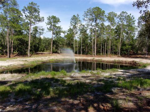 Tiny photo for Deep Woods Road, Paisley, FL 32767 (MLS # V4945611)