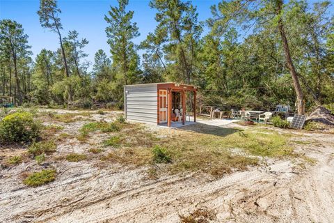 Tiny photo for Deep Woods Road, Paisley, FL 32767 (MLS # V4945611)