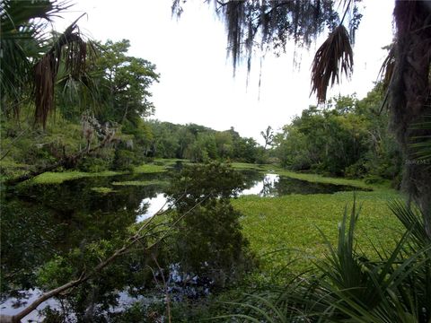 Tiny photo for Deep Woods Road, Paisley, FL 32767 (MLS # V4945611)