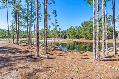 Tiny photo for Deep Woods Road, Paisley, FL 32767 (MLS # V4945611)