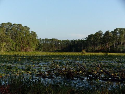 Tiny photo for Deep Woods Road, Paisley, FL 32767 (MLS # V4945611)