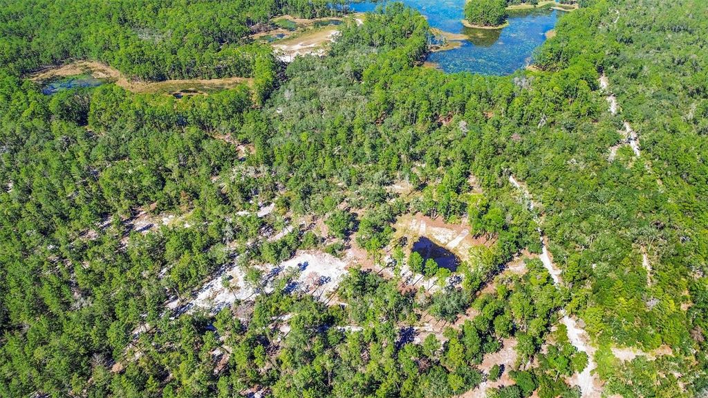 Photo of Deep Woods Road, Paisley, FL 32767 (MLS # V4945611)
