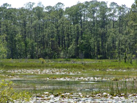 Tiny photo for Deep Woods Road, Paisley, FL 32767 (MLS # V4945611)