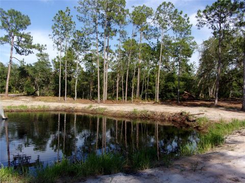 Tiny photo for Deep Woods Road, Paisley, FL 32767 (MLS # V4945611)