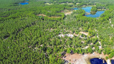 Tiny photo for Deep Woods Road, Paisley, FL 32767 (MLS # V4945611)
