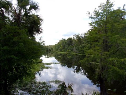 Tiny photo for Deep Woods Road, Paisley, FL 32767 (MLS # V4945611)
