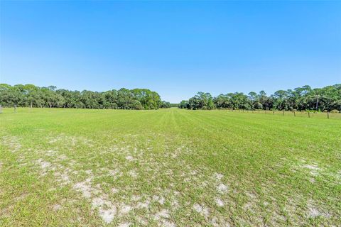 Tiny photo for Deep Woods Road, Paisley, FL 32767 (MLS # V4945611)