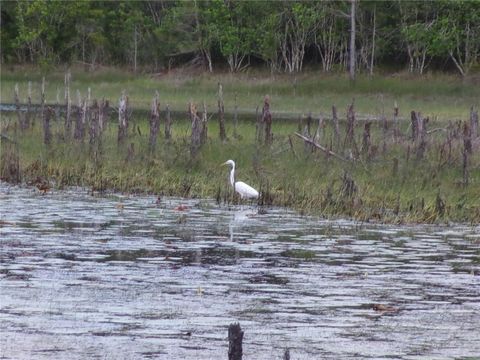 Tiny photo for Deep Woods Road, Paisley, FL 32767 (MLS # V4945611)